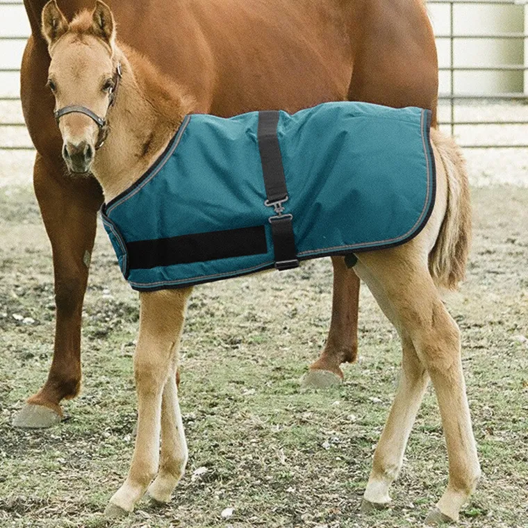 RPKYHBqs_1.webp Discount KENSINGTON ™ Signature Adjustable Large Foal Turnout