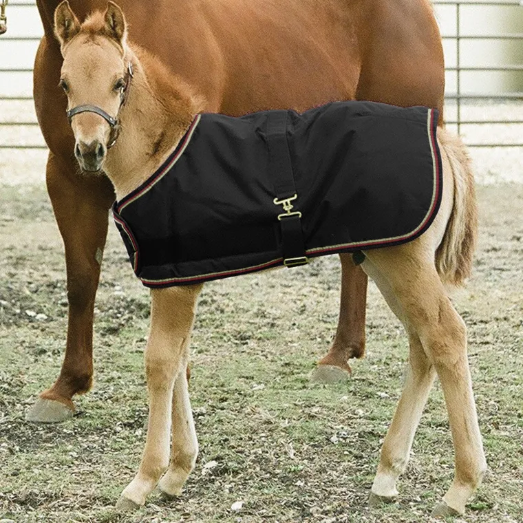 RPKYHBqs_3.webp Discount KENSINGTON ™ Signature Adjustable Large Foal Turnout