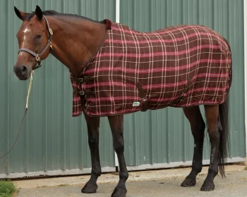 Outlet S.K. EXPORTS Rider’s International™ Stable Sheet