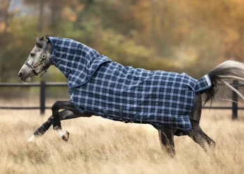 Online HORSEWARE ® Ireland Rhino® Plus Heavyweight Blanket with Vari-Layer®