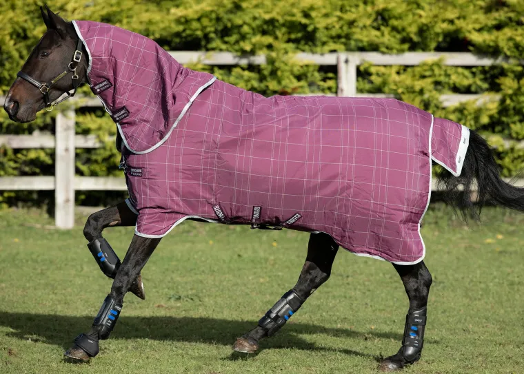 RnseGrNs_3.webp Online HORSEWARE ® Ireland Rhino® Plus Heavyweight Blanket with Vari-Layer®