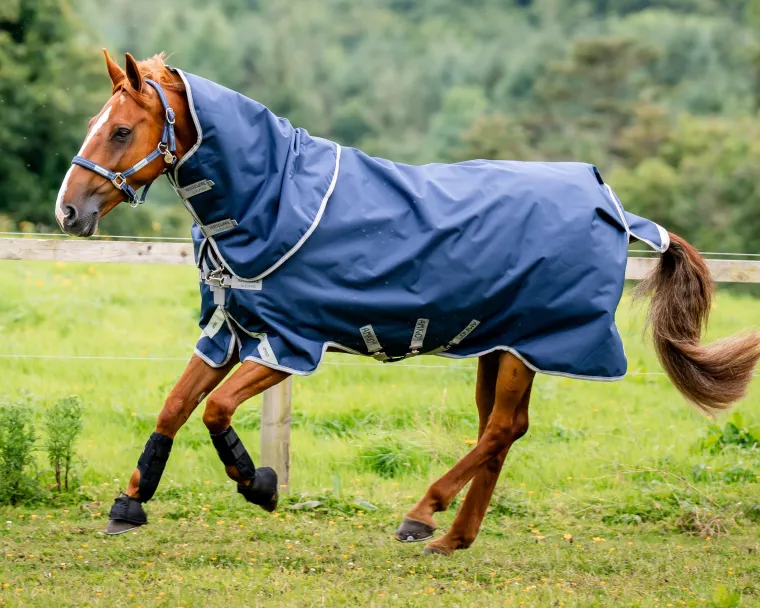 SWexbhjE_7.webp New HORSEWARE ® Ireland Amigo® 1200D Plus Turnout