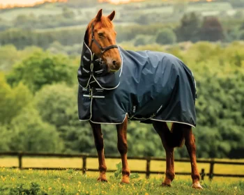Hot HORSEWARE ® Ireland Amigo® Ripstop 900D 100 Gram Plus Pony Turnout