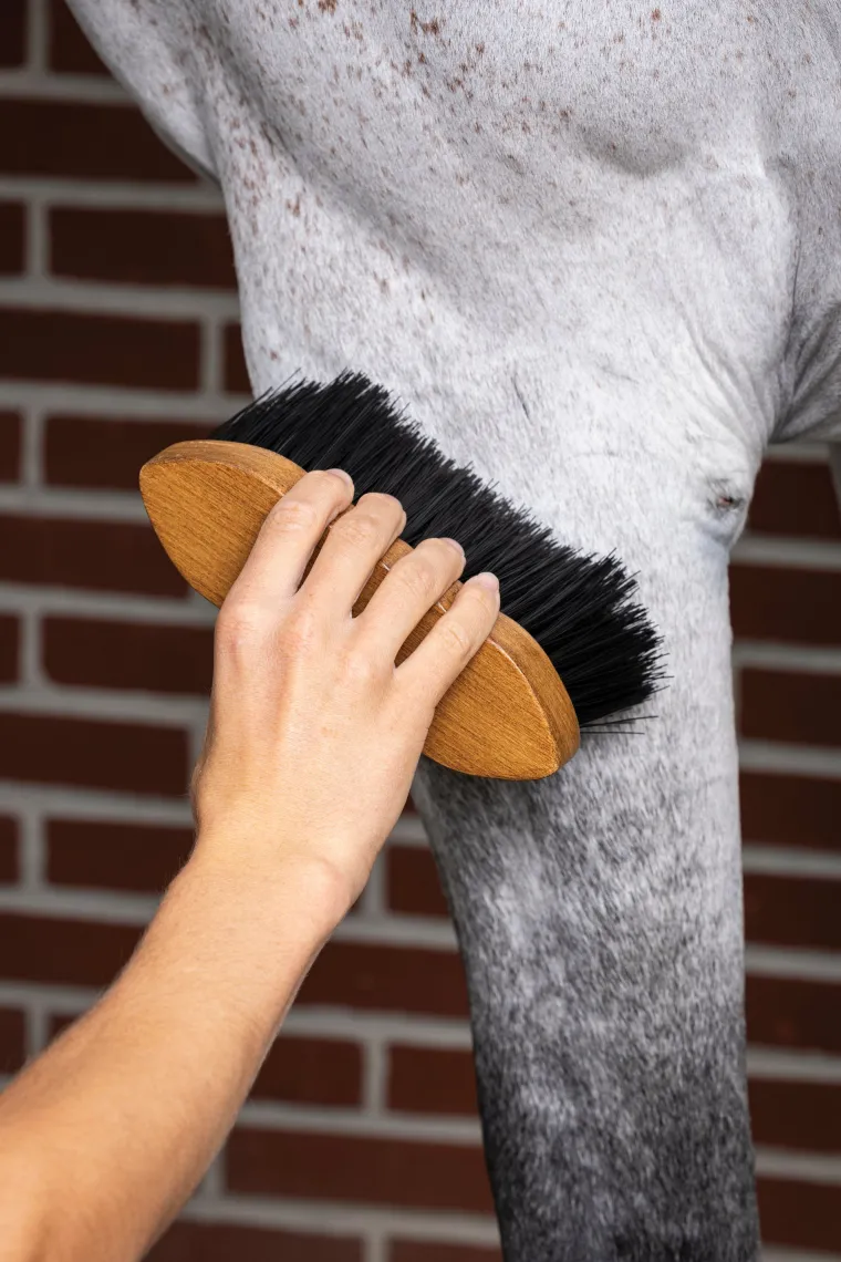 TDlBCGZU_1.webp Outlet HORSE HEALTH TRADE LeMieux® Artisan Flick Brush Brown