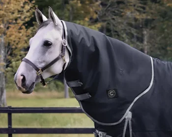 Discount CWEAR BRANCH Rider’s International™ Supreme Hood–200G