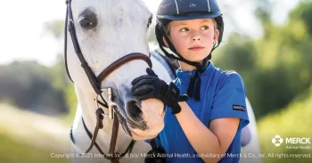 Hot ANIMAL HEALTH INT Panacur® PowerPac