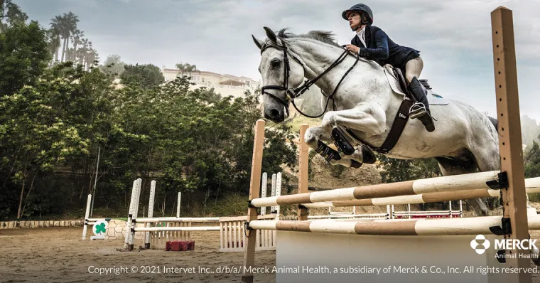 TSlvhIcT_2.webp Hot ANIMAL HEALTH INT Panacur® PowerPac