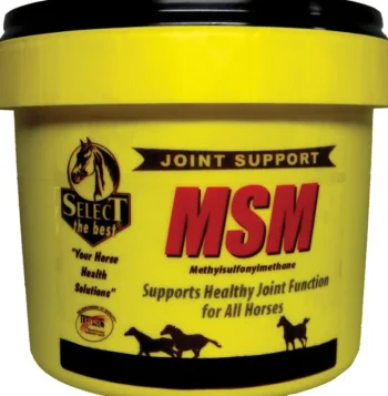 Hot ANIMAL HEALTH INT Select MSM Joint Supplement