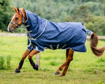 Discount HORSEWARE ® Ireland Amigo® 1200D Plus Turnout 250 Gram