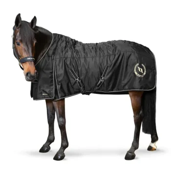 Sale BACK ON TRACK BOT LL Back on Track® Millie Stable Blanket 100G with Woven Lining Black