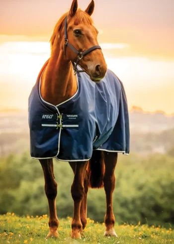 Discount HORSEWARE ® Ireland Amigo® Ripstop 900D Standard Neck Pony Turnout Sheet Witney Navy