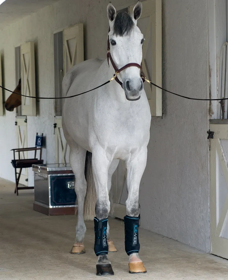 VEmraLqT_2.webp Best HORSEWARE ICE-VIBE Boots Black