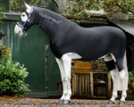 Hot HORSEWARE ® Ireland Rambo® Slinky Full Body Black