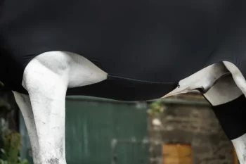 Hot HORSEWARE ® Ireland Rambo® Slinky Full Body Black