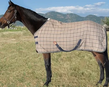 Best JACKS MFG 5/A Baker® Deluxe Stable Sheet Baker Plaid