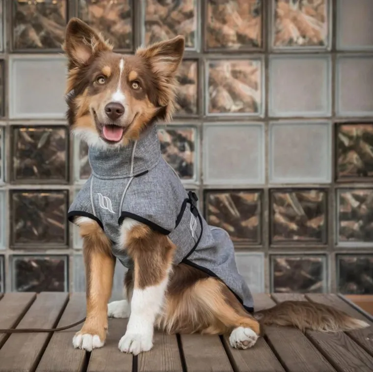 WiMaOvMp_2.webp Online BACK ON TRACK BOT LL Back on Track® Nella Medium Dog Coat