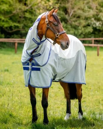 Hot HORSEWARE ® Amigo® Airflow Sheet