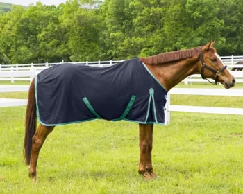 Discount JPC EQUESTRIAN TuffRider® Kozy Komfort Stable Sheet