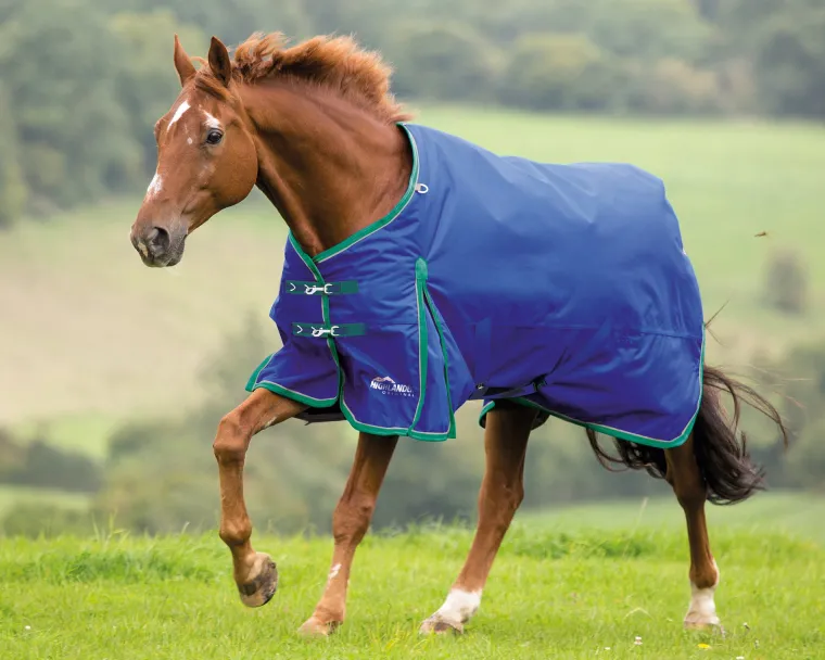 YHgLZKAZ_0.webp Hot SHIRES EQUESTRIAN Shires Highlander 200G Blanket