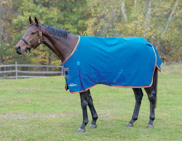 YHgLZKAZ_1.webp Hot SHIRES EQUESTRIAN Shires Highlander 200G Blanket