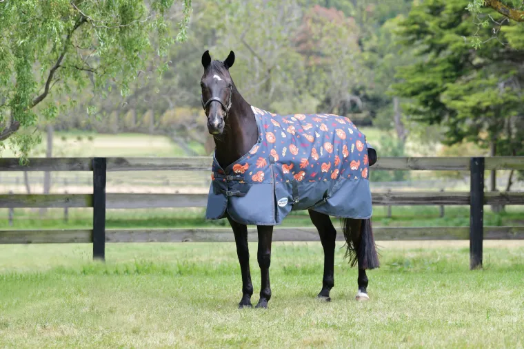 YXnAFnRl_0.webp Clearance WEATHERBEETA ® ComFiTec™ Essential Standard Neck Medium-Weight Turnout Blanket