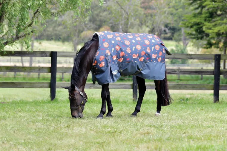 YXnAFnRl_2.webp Clearance WEATHERBEETA ® ComFiTec™ Essential Standard Neck Medium-Weight Turnout Blanket