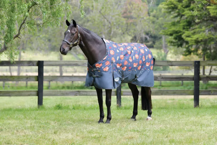 YXnAFnRl_3.webp Clearance WEATHERBEETA ® ComFiTec™ Essential Standard Neck Medium-Weight Turnout Blanket