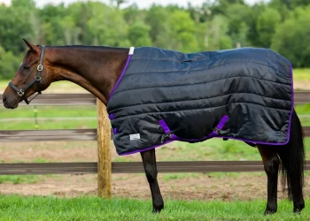 Clearance JPC EQUESTRIAN TuffRider® Kozy Komfort Stable Blanket