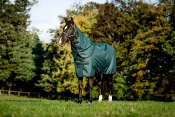 Clearance HORSEWARE ® Ireland Amigo® Ripstop 900D 100 Gram Plus Turnout
