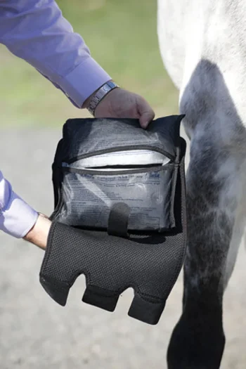 Clearance MACKINNON Ice Horse® Cold Capsule™ Inserts - 2 Pack