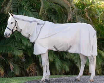 Hot HORSEWARE ® Ireland Amigo® All-In-One Fly Sheet Silver/Titanium Grey/Silver