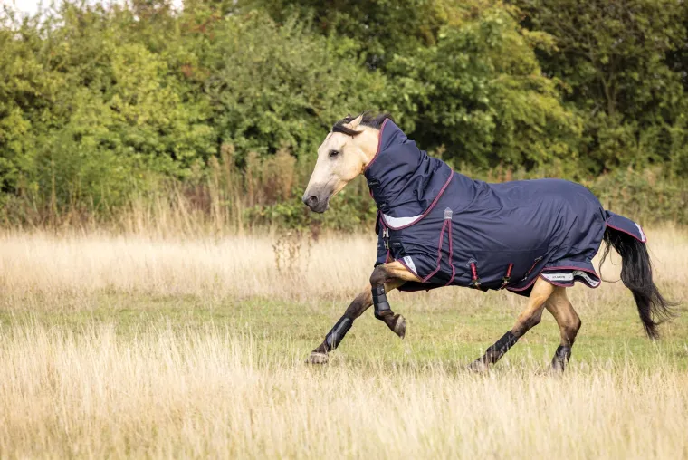 ZVBElsgq_0.webp Fashion HORSE HEALTH TRADE LeMieux® Kudos 100 Gram Turnout Blanket Navy