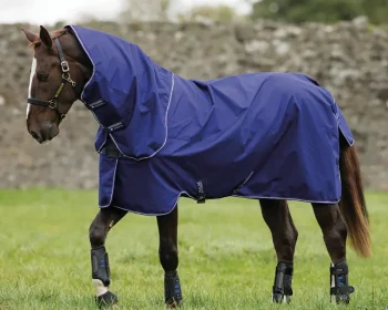 Online HORSEWARE ® Ireland Amigo® Hero Plus 900D Disc-Front Lite Turnout Sheet Atlantic Blue/Atlantic Blue/Ivory