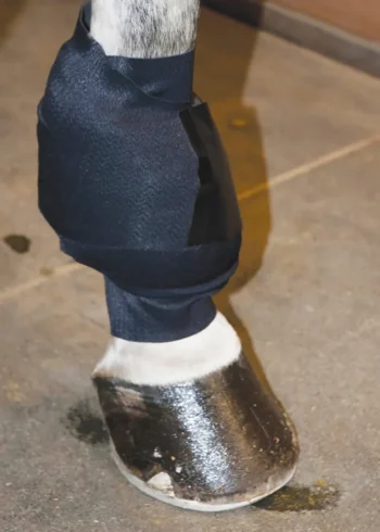 Outlet MACKINNON Ice Horse® All-Purpose Wrap