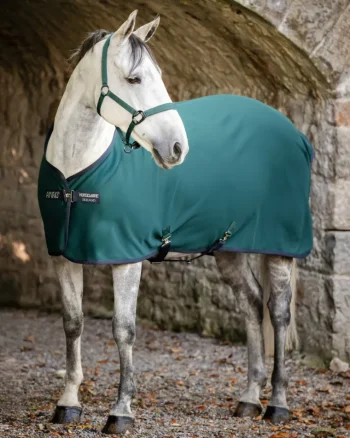 Online HORSEWARE ® Ireland Amigo® Jersey Cooler - Pony Dynasty Green/Navy