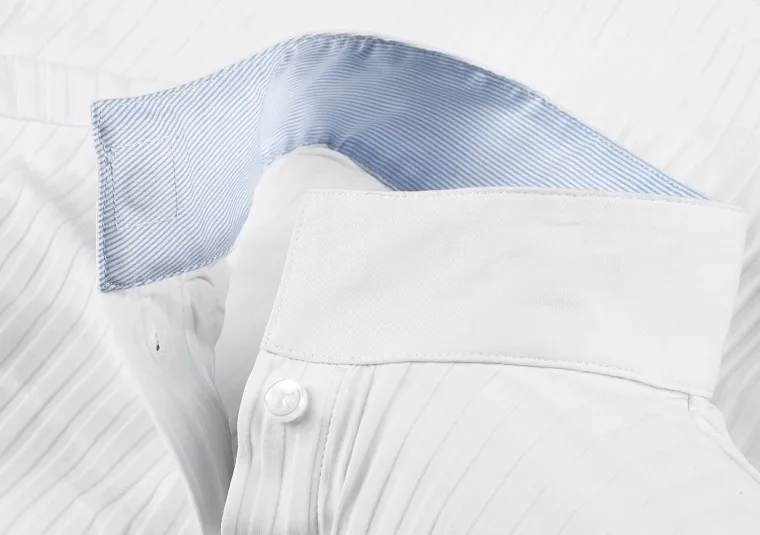 alessandro-albanese-long-sleev-lMayWleW-2.webp Best HORSEWARE Alessandro Albanese Long Sleeve Aurora Shirt