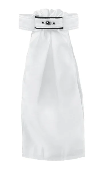 Fashion ALL TIED UP Stock Tie