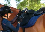 arena-dressage-saddle-jXAWigji-0.webp