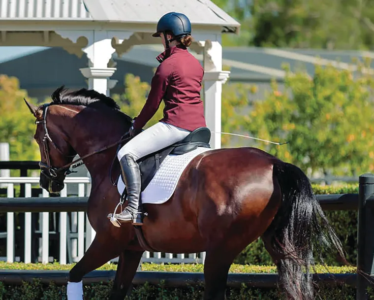 arena-dressage-saddle-jXAWigji-4.webp Best SADDLERY BRANDS INTL Arena Dressage Saddle Black