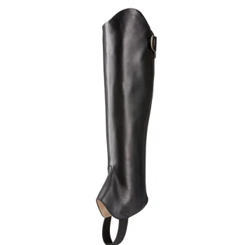 Best ARIAT ® Kendron Half Chaps