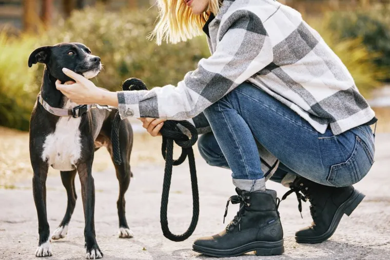ariat-ladies-harper-waterproof-vxrOZSuv-9.webp Hot ARIAT ® Ladies’ Harper Waterproof Boots