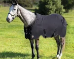 Discount KENSINGTON ™ Pony Poly Cotton Stable Sheet SureFit®