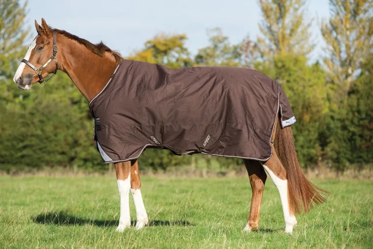 bAgWifFV_0.webp Clearance HORSEWARE ® Ireland Amigo® Bravo 12 Heavyweight Turnout Blanket
