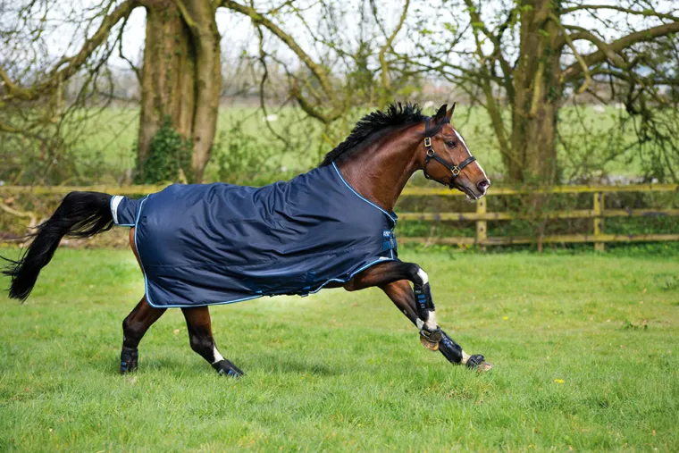 bAgWifFV_7.webp Clearance HORSEWARE ® Ireland Amigo® Bravo 12 Heavyweight Turnout Blanket