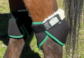 Sale CLICK HORSE PRODUCTS Hock Shield Ultra Wraps