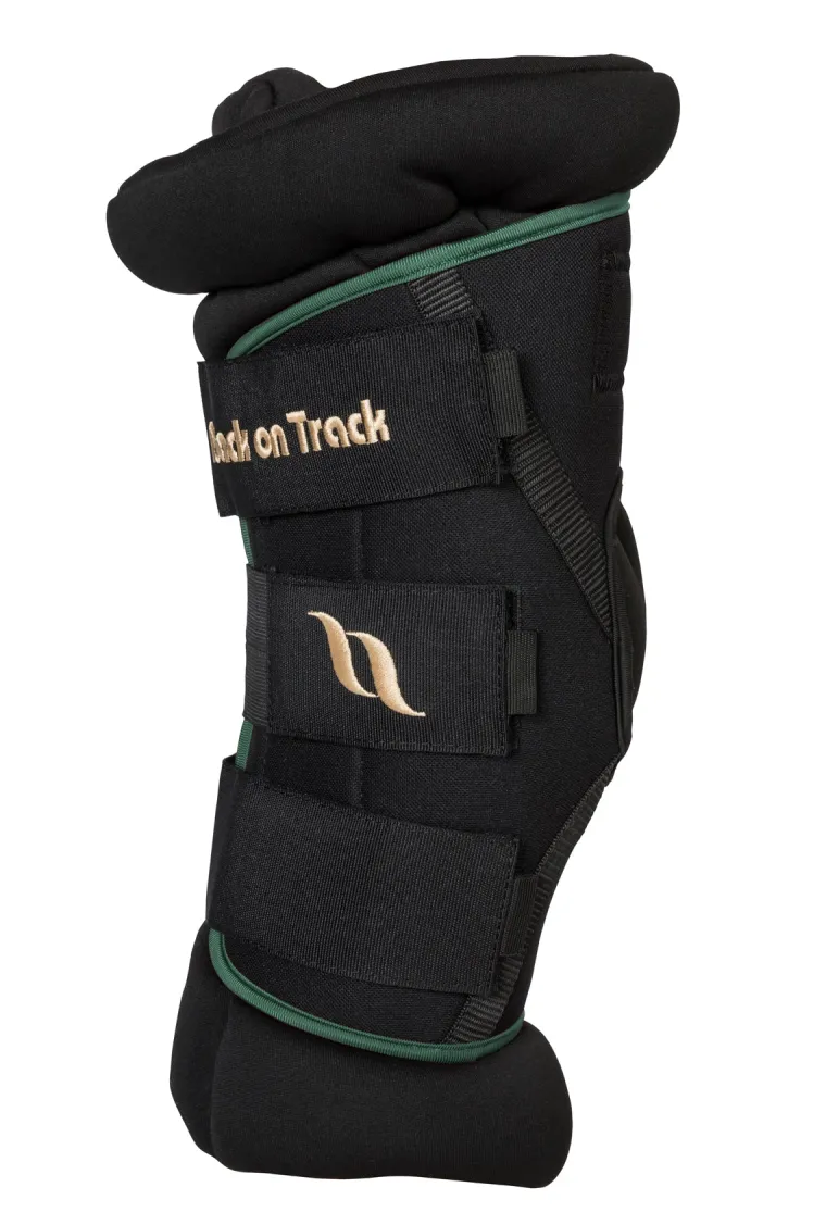 back-on-track-royal-padded-hoc-mukQyRJT-1.webp Sale BACK ON TRACK BOT LL Back On Track® Royal Padded Hock Boots Deluxe