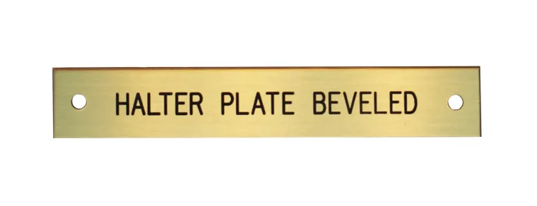 beveled-edge-halter-nameplate-UJlNCMDJ-1.webp New DOVER DROPSHIP Beveled Edge Halter Nameplate - 1 Or 2 Lines