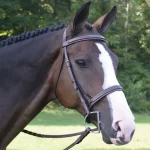 Clearance KL SELECT Black Oak Spruce Hunter Bridle Brown