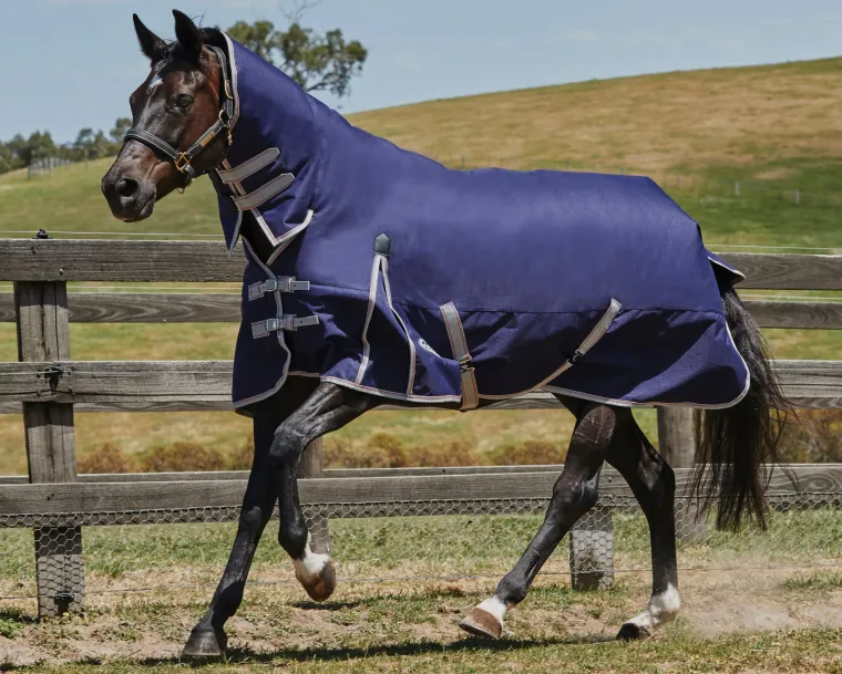 blyAcRjh_0.webp Hot WEATHERBEETA ® ComFiTec™ Essential Combo Neck Medium-Weight Turnout Blanket Navy/Silver/Red