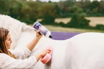 Hot ANIMAL HEALTH INT Equiderma® Neem Shampoo